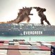 Vastgelopen containerschip in Suezkanaal zorgt voor dolle pret op het internet