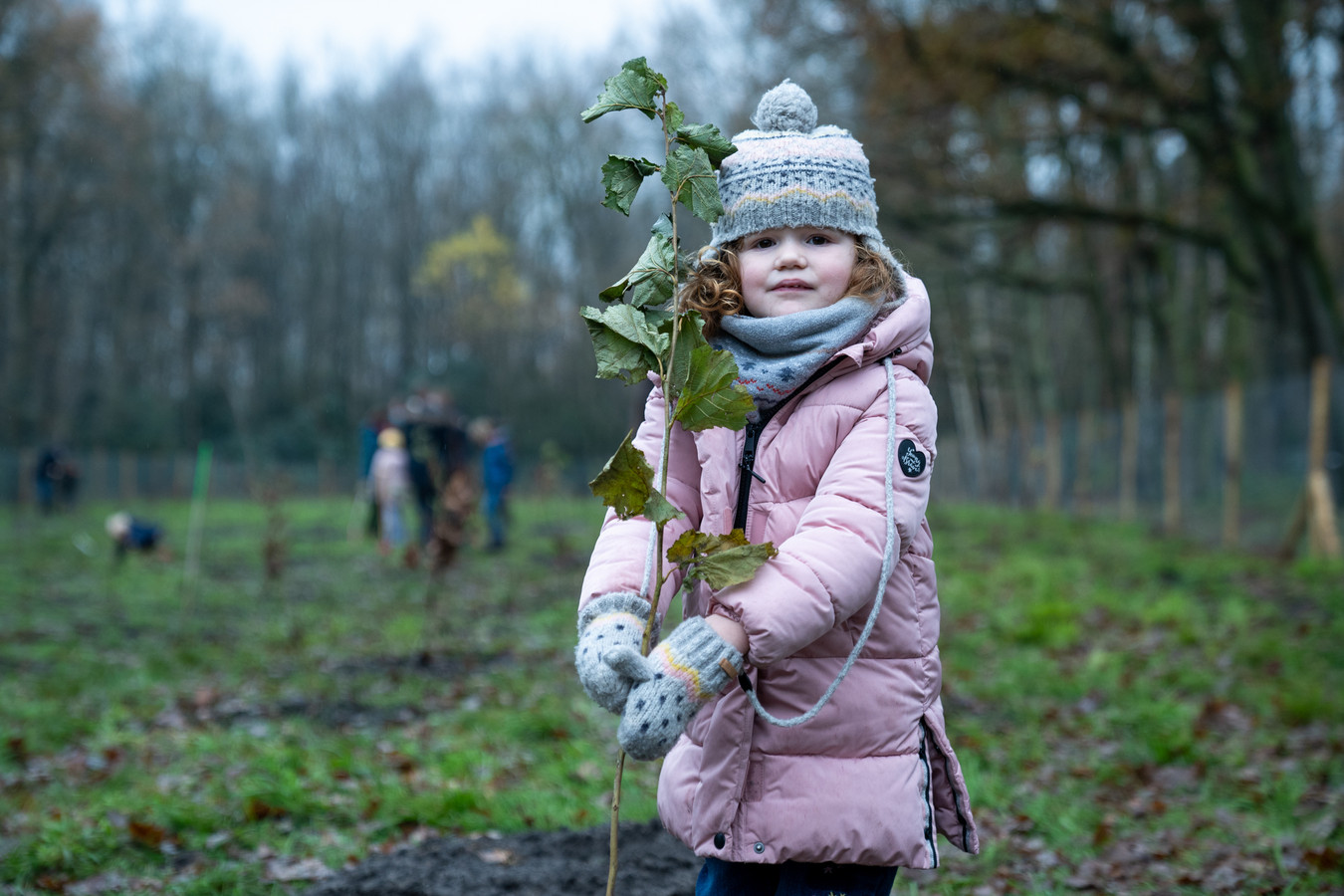 Alle kinderen die in 2013 en 2014 geboren zijn en hun ouders en broertjes of zusjes mochten mee komen planten.