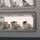 Matt Damon is helemaal op zijn plek als tot miniatuurmens gekrompen burgerman