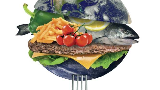 Zo redt u het klimaat (een beetje): kleine aanpassing in eetgewoontes heeft al effect