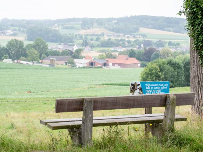 Burgemeesters Vlaamse Ardennen furieus over ruimtelijk plan: “100 stappen achteruit inzake rechtszekerheid” 