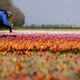 Hemelvaartweekend wordt droog, maar koud