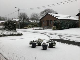Koning Winter op bezoek: delen van Limburg en Oost-Brabant bedekt met mooi laagje sneeuw