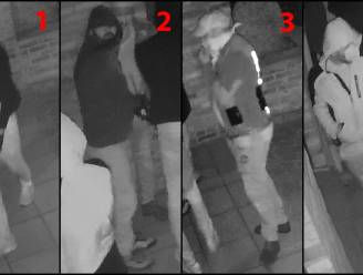 Politie verspreid beelden van inbrekers op Ten Ede