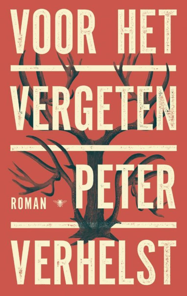 Peter Verhelst, 'Voor het vergeten', De Bezige Bij, 354 p., 21,99 euro. Beeld rv