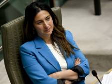 Trop de lois climatiques? Demir critique la stratégie européenne et rejoint Emmanuel Macron