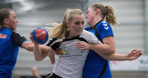 Jolink gaat door als coach handbalsters Nieuw Heeten - De Stentor