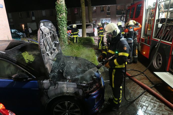 De brandweer bluste het vuur.