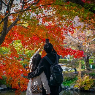 Japan zucht onder recordaantal toeristen dat overlast veroorzaakt