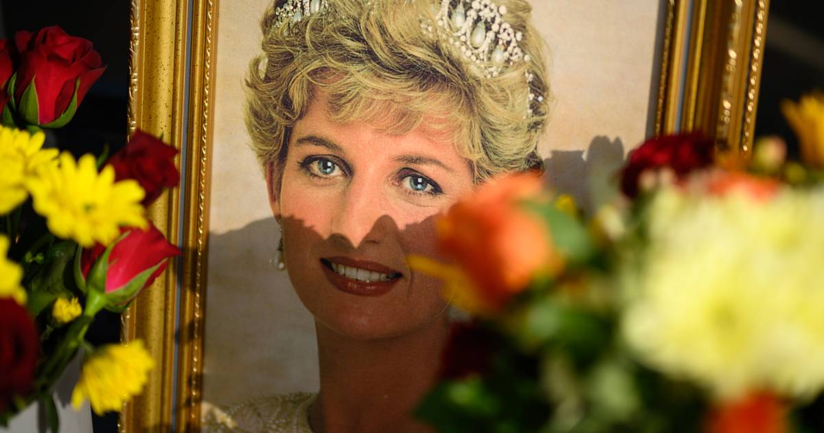 La BBC verse une indemnité au frère employé Diana |  Afficher