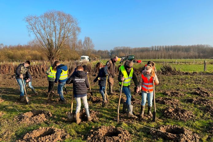 Leerlingen van de Vrije Basisscholen Sterreneiland van Smetlede en Wanzele hielpen maandag mee met het planten van 2,7 hectare extra bos in de Vallei van de Serskampse Beek.