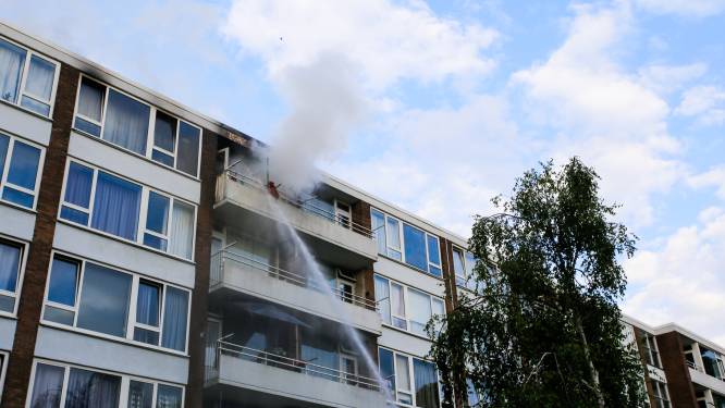 Kat overleeft uitslaande brand in flatwoning Zwijndrecht niet, woning verwoest 