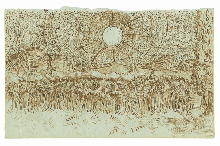 Veld zonnebloemen Augustus-september 1889, Saint-Rémy-de-Provence Beeld éditions du Seuil