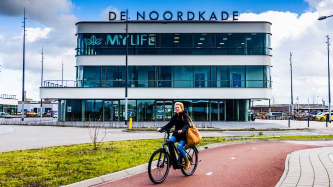De Beren-droom voor megavestiging op Waterbusplein valt in duigen: ‘Banken hebben rolluiken laten zakken’