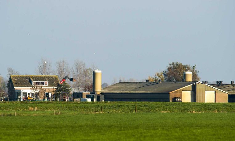 Vijf pluimveebedrijven in Nederland nu getroffen door vogelgriep - Volkskrant
