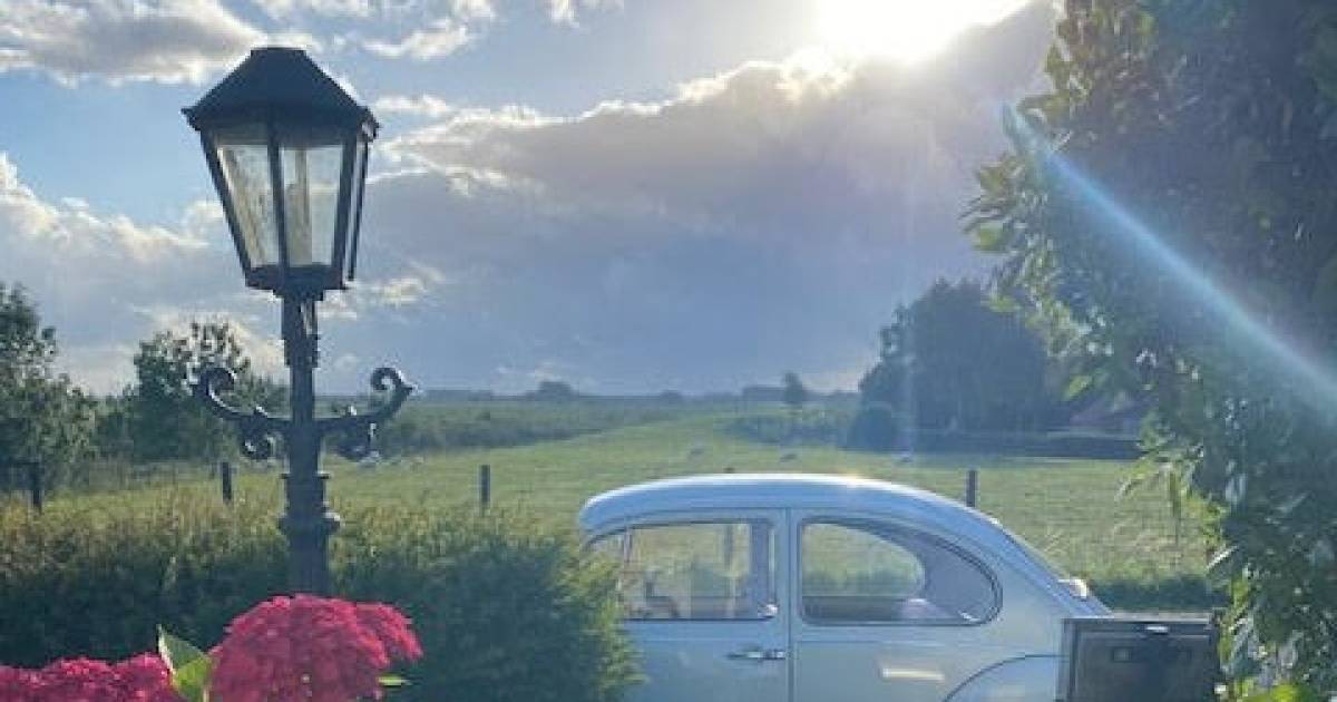 MIJN FOTO | Herbie brengt je in een nostalgische bui