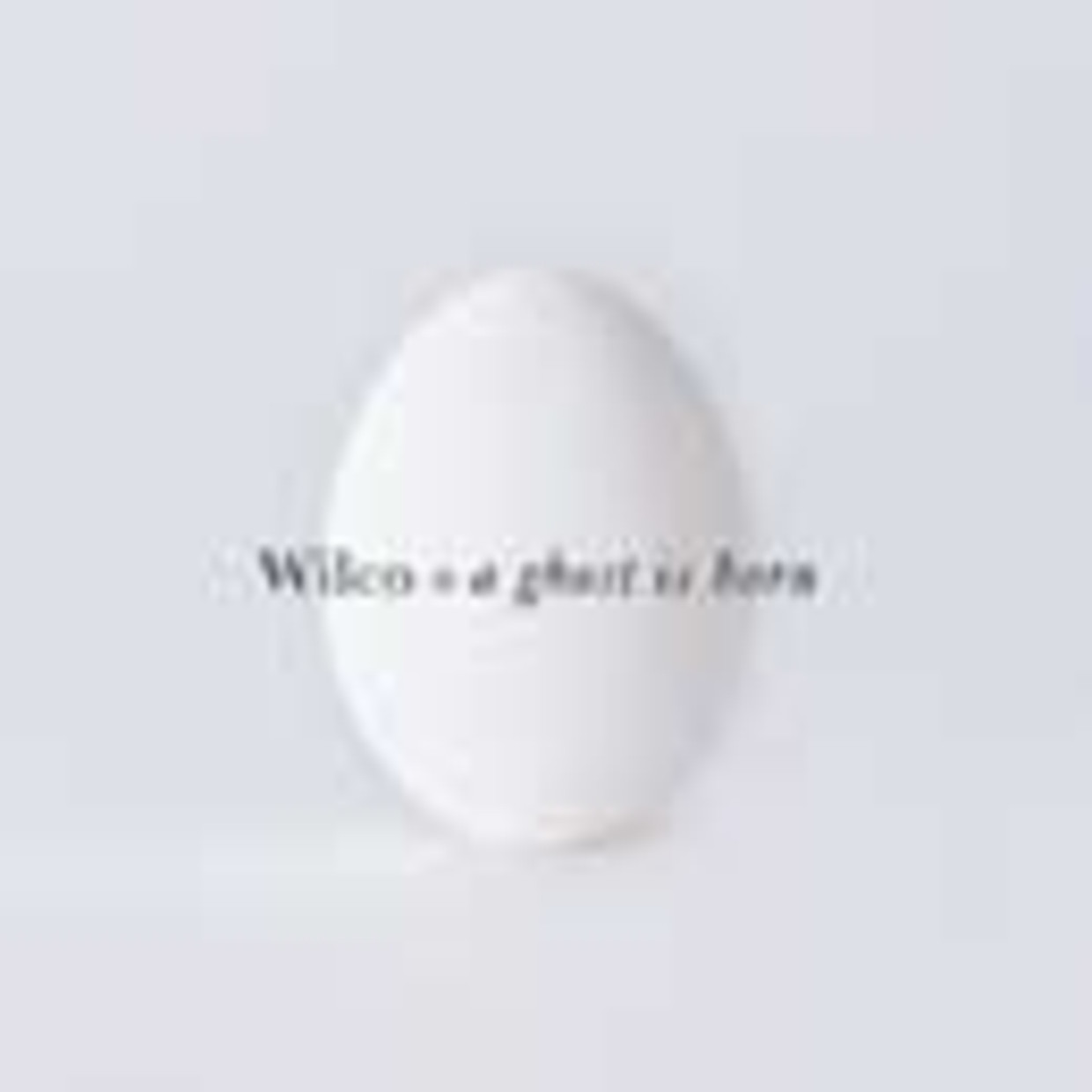 Review Wilco A Ghost Is Born Humo