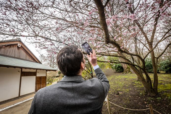Tripje naar de Japanse Tuin plannen? Vanaf dinsdag kan het.