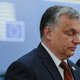 Europese fractie krijgt premier Orbán in het gareel