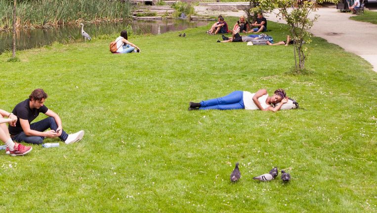 Het Amsterdamse Vondelpark, waar de 23-jarige Octavia (met het hoofd op haar tas) bijna een jaar rondhing met andere, al dan niet dakloze, jongeren van de 'Vondelparkgroep'. Beeld Stefanie Gratz