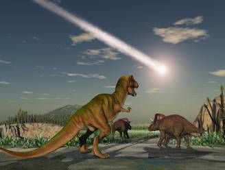 "Was meteoriet 30 seconden later ingeslagen, hadden dinosaurussen nu misschien nog geleefd"