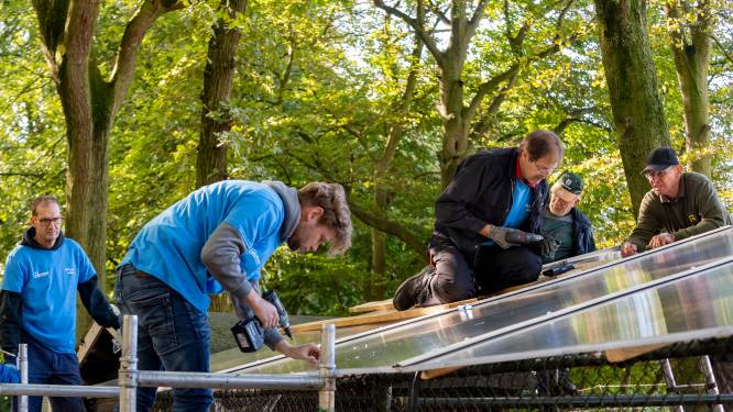 Medewerkers SABIC maken dak voor vogelverblijf hertenkamp De Beek: ‘Dit is zó welkom’