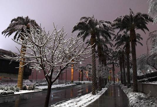 Palmbomen en sneeuw in Las Vegas.