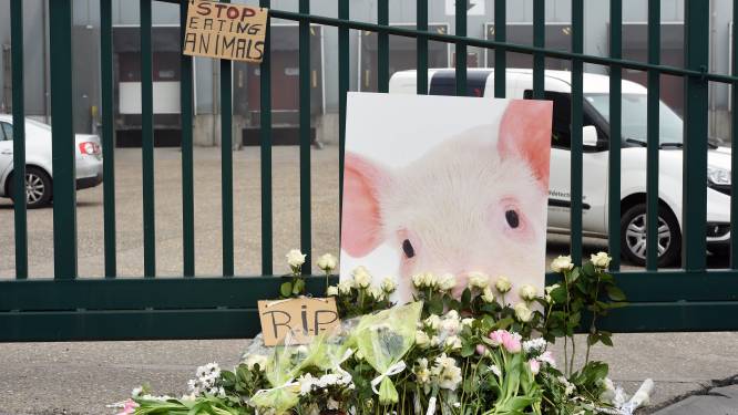 OPINIE. Hermes Sanctorum: "Noem een kip een kip"