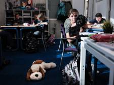 Schoolhond Teddie maakt snel vriendjes in de brugklas in Zevenaar