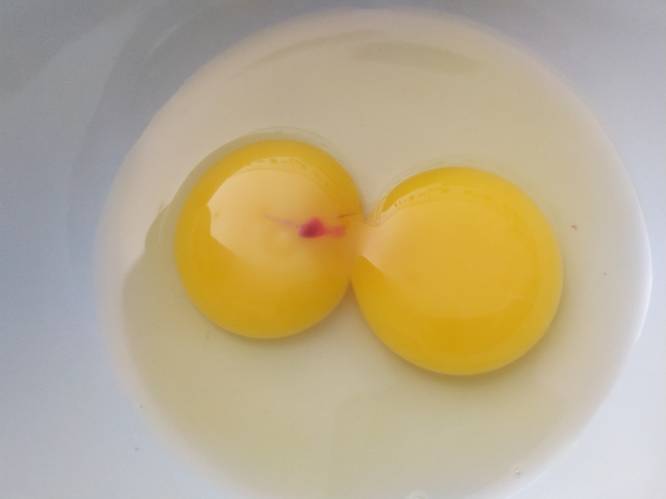 Wat is dat rode stipje in je ei? En mag je het dan nog opeten?