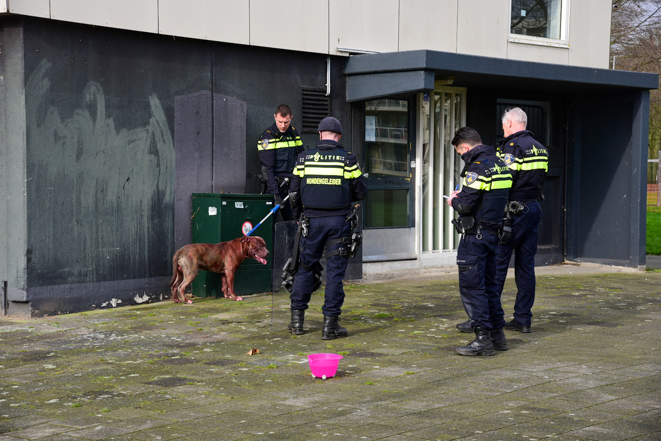 Agressieve Hond In De Aanval Drie Mensen Met Bijtwonden In Het