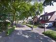 Fractie LEV wil opheldering over afgeblazen bomenkap in Hilvarenbeek, ‘Bewoners op verkeerde been gezet’