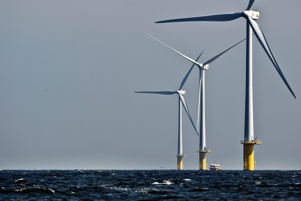 Het windmolenpark voor de kust van IJmuiden Beeld ANP