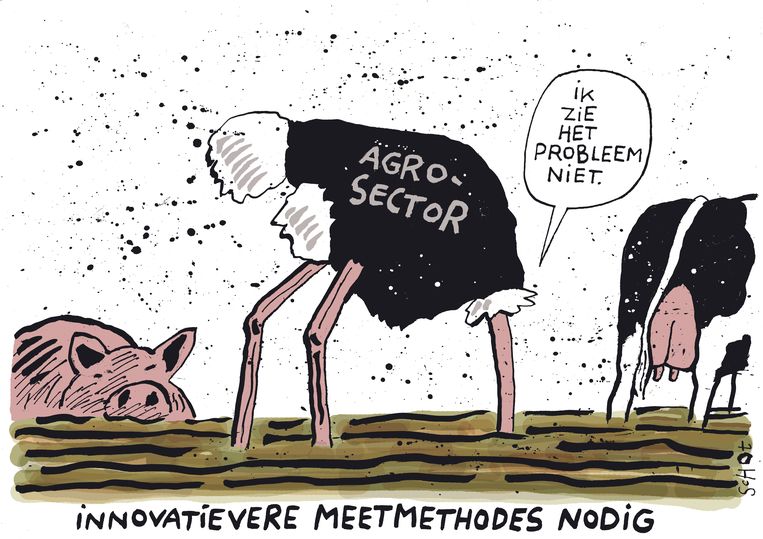 null Beeld Bas van der Schot