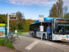 Weer busproblemen in polder door werk aan de weg: Millingenaren moeten ‘s avonds in Leuth al uitstappen 