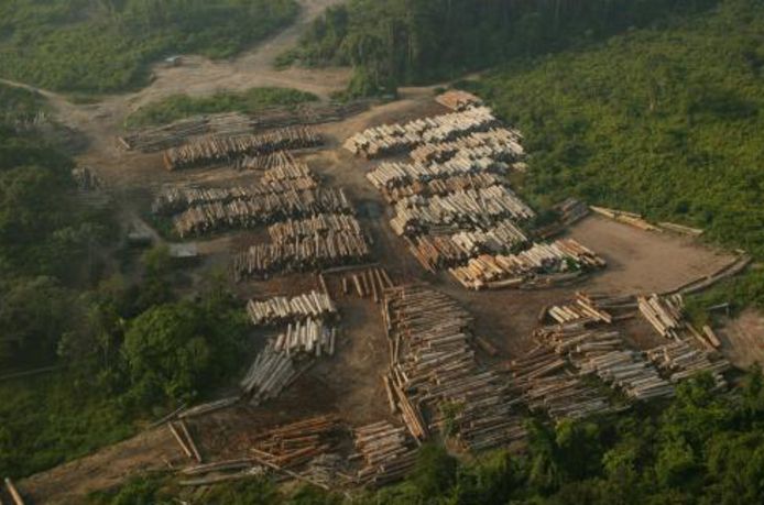 Les Indiens d’Amazonie sont menacés par la déforestation aussi