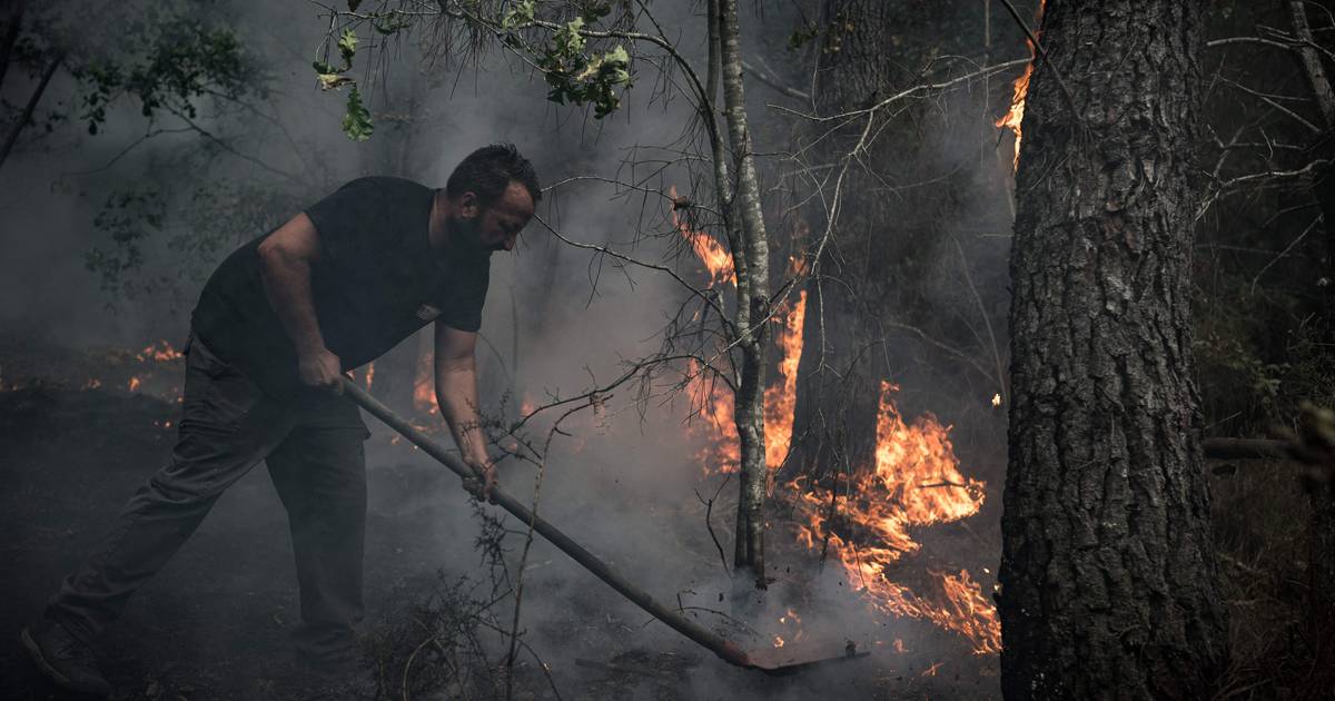 Le Nazioni Unite avvertono di una catastrofe climatica: “Gli sforzi attuali sono lontani da ciò che è necessario” Ambiente