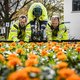 Zwolle ziet oranje en blauw tijdens Koningsdag