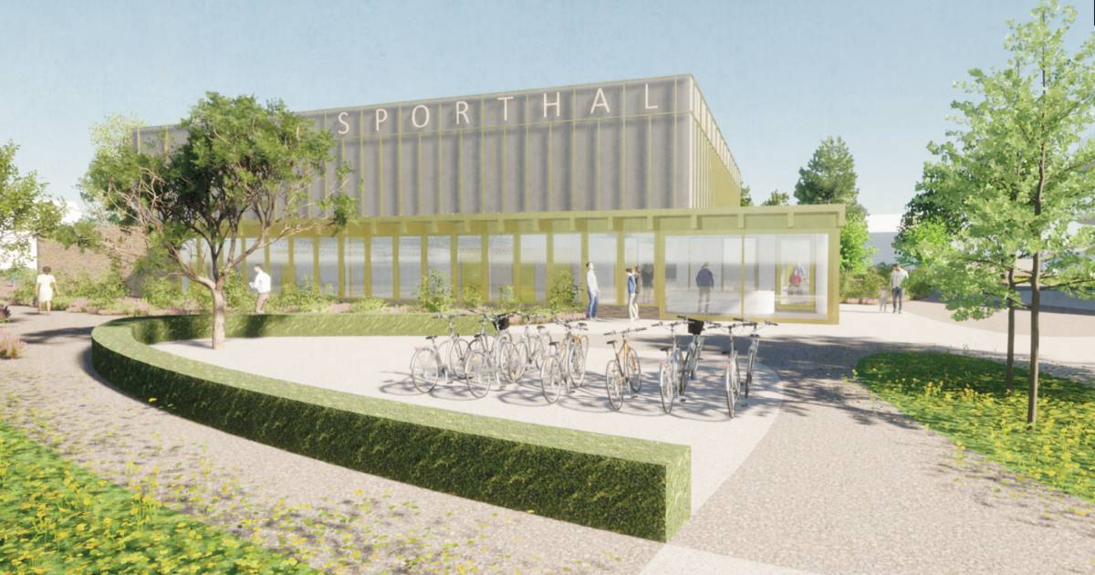 Nieuwe duurzame sporthal in Rijen afgestemd op rolstoelsporters - BN DeStem