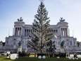 "Kale" kerstboom in Rome krijgt tweede leven