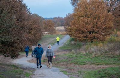 Hondenlosloopgebied op Edese Heide wordt kleiner