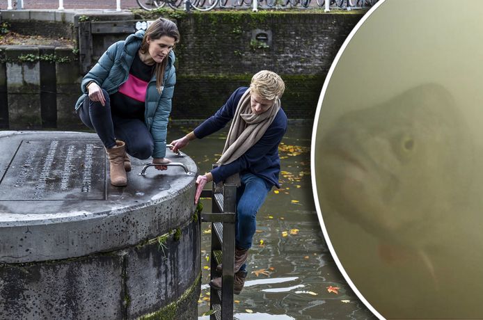 Anne Nijs en Mark van Heukelum, bedenkers van de visdeurbel, bekijken bij de Weerdsluis wat de meest geschikte plek is voor de onderwatercamera in 2021.