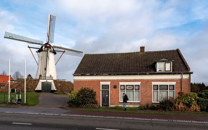 De Antoniusmolen in Halsteren is een rijksmonument. Het college van Bergen op Zoom moet besluiten of de oude molenaarswoning een gemeentelijke monumentenstatus krijgt. Zo ja, dan frustreert dat een bouwplan van Zorghuys Steenbergen voor een wooncomplex op het terrein.