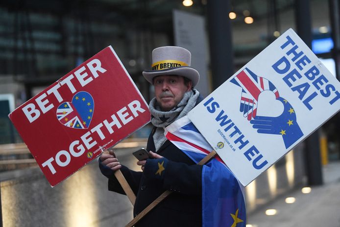 De Britten verlieten eind januari de EU. Tot het einde van het jaar geldt een overgangsperiode waarin ze de Europese regels nog volgen.