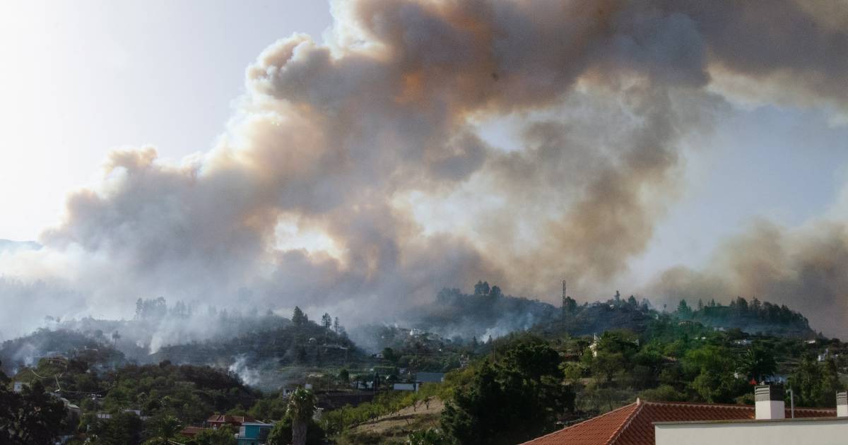 More than 2000 people in flames in La Palma: ‘fire has got out of hand’ |  Abroad
