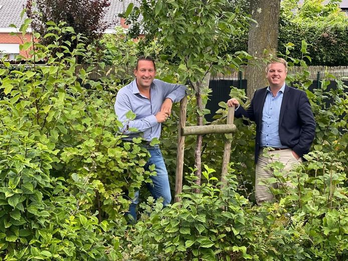 Izegemnaars bestelden met stadsactie al 800 gratis bomen | Izegem | hln.be