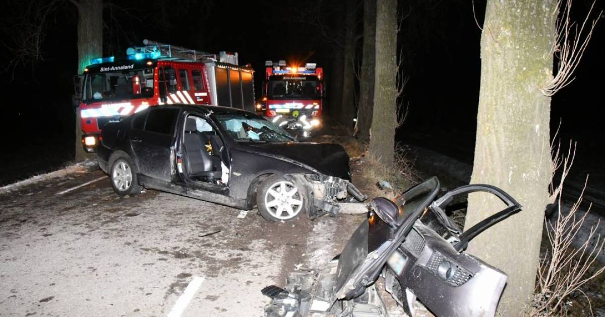 Automobilist bekneld in auto na botsing met boom.