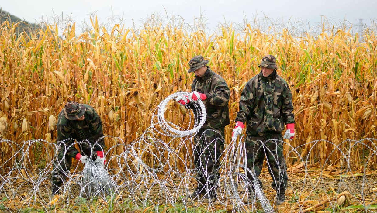 Hongaarse soldaten halen prikkeldraad langs delen van de grens met Slovenië weg. Beeld afp