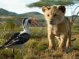 Tekenaars originele The Lion King over remake: ‘Moest dit nu echt?’ 