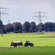 Mysterieuze techgigant ziet Zeewolde als ideale vestigingsplaats